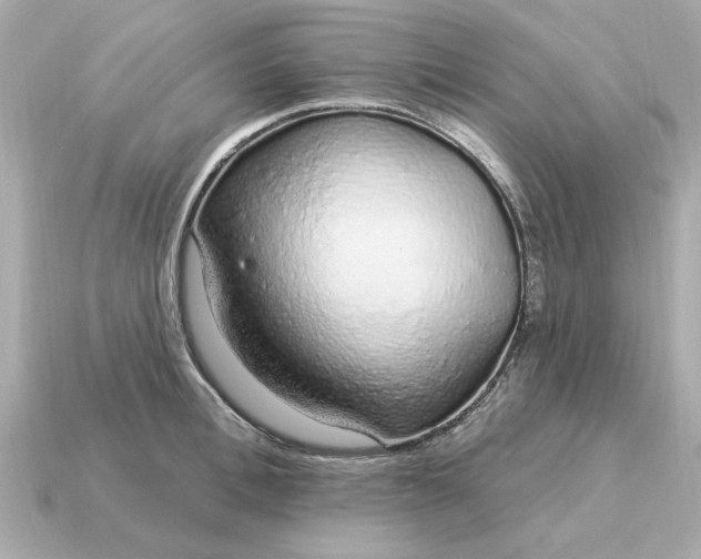 X0000115160996200911101746