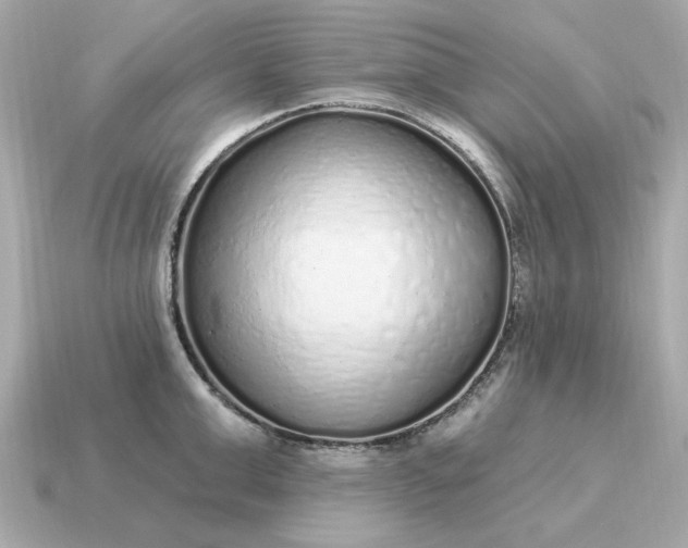 X0000115160999200911101746