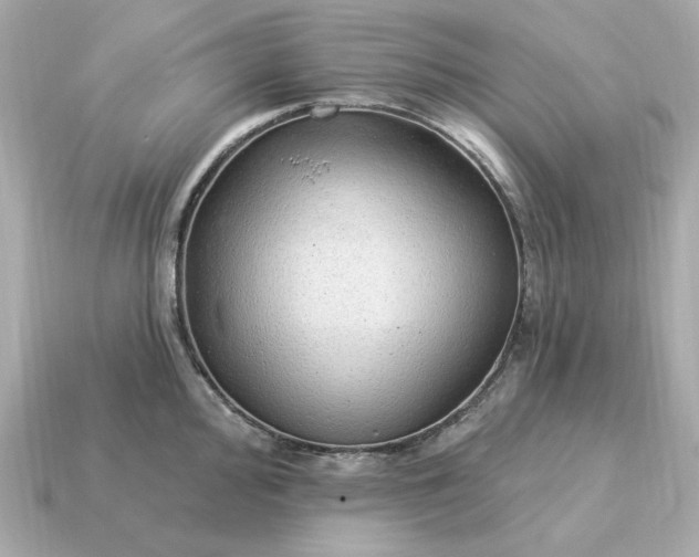 X0000115161000200911101746
