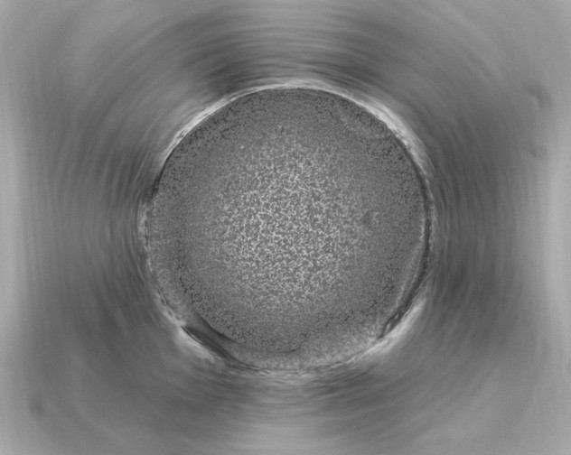 X0000115161001200911101746