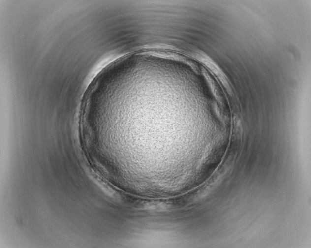 X0000115161002200911101746