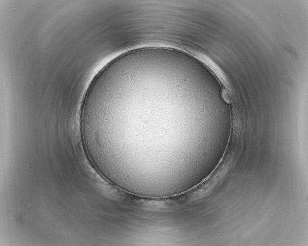 X0000115161004200911101746