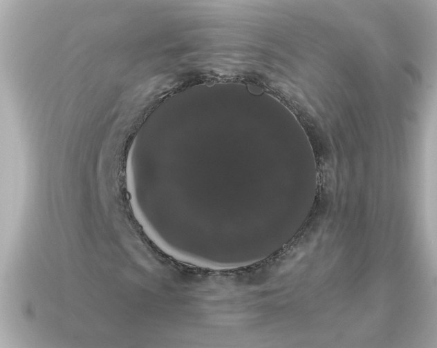 X0000115161009200911101745