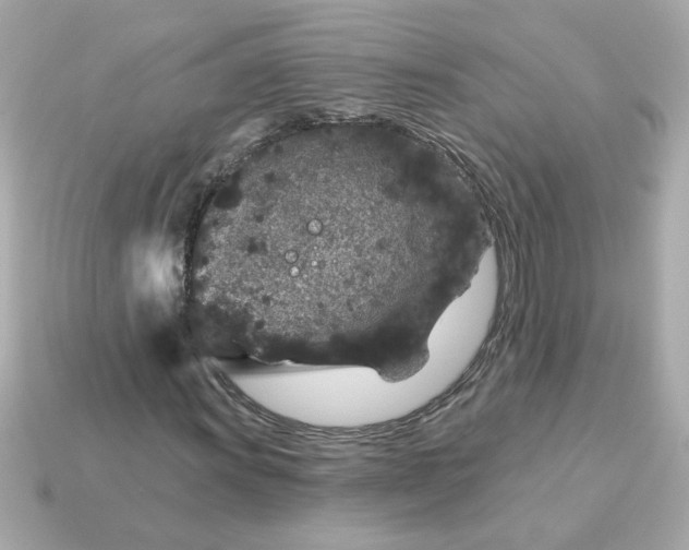 X0000115161011200911101745