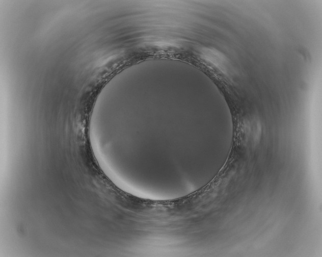 X0000115161013200911101745