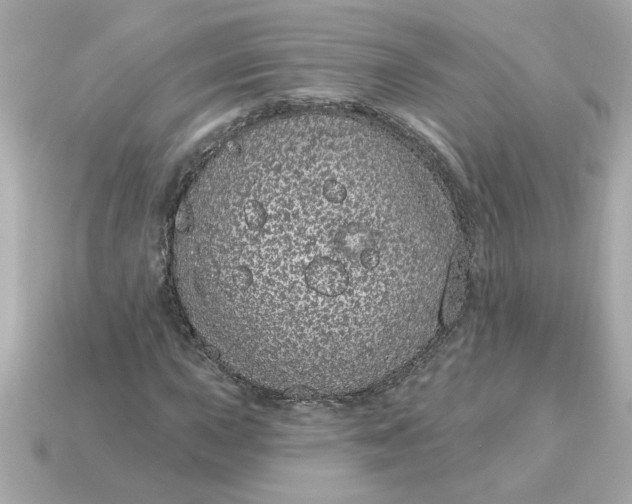 X0000115161015200911101745