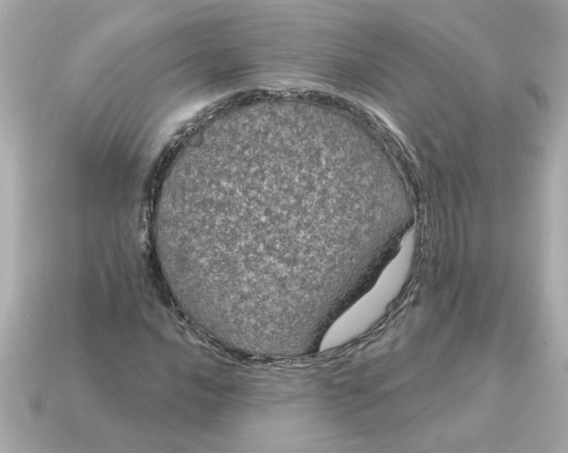 X0000115161016200911101745