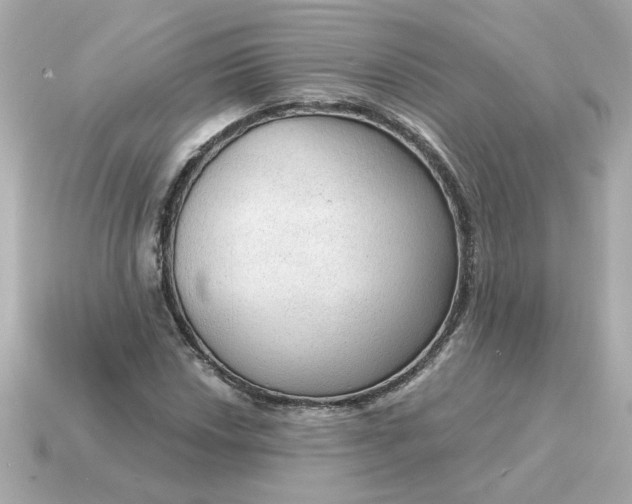 X0000115161018200911101745