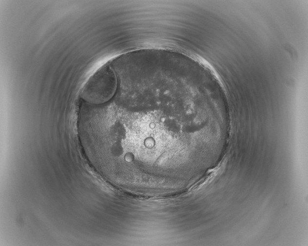X0000115161019200911101745