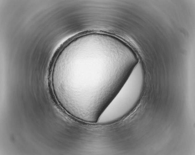X0000115161020200911101745
