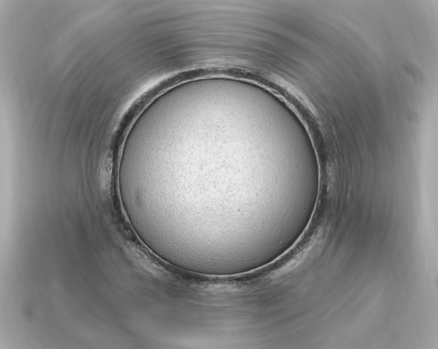 X0000115161021200911101745