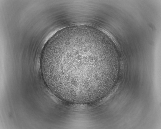 X0000115161023200911101745