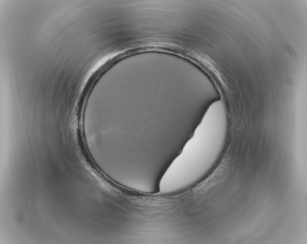 X0000115161024200911101745