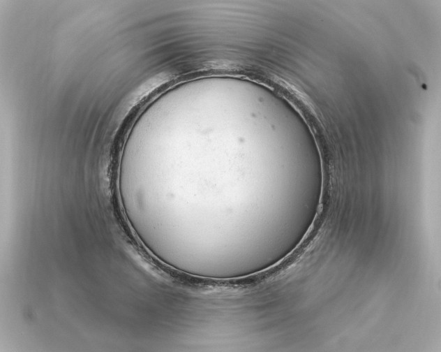 X0000115161026200911101745