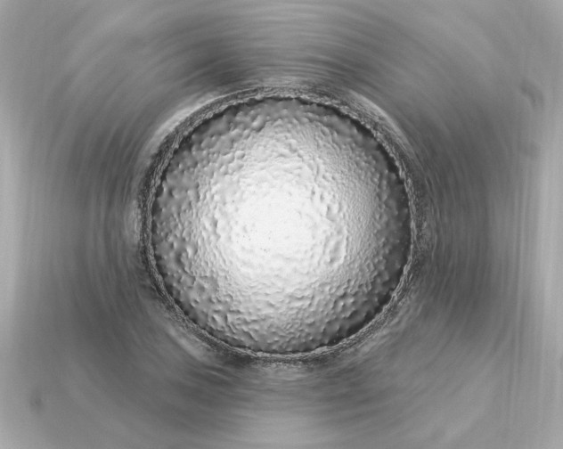 X0000115161027200911101745