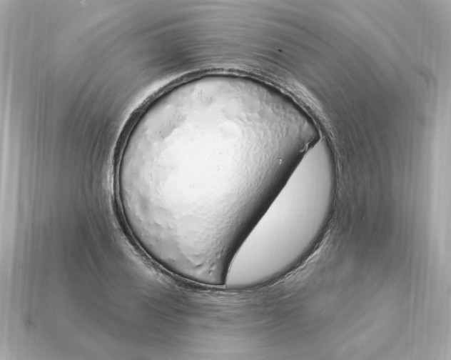 X0000115161028200911101745