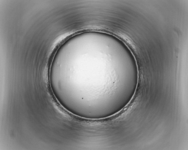 X0000115161030200911101745