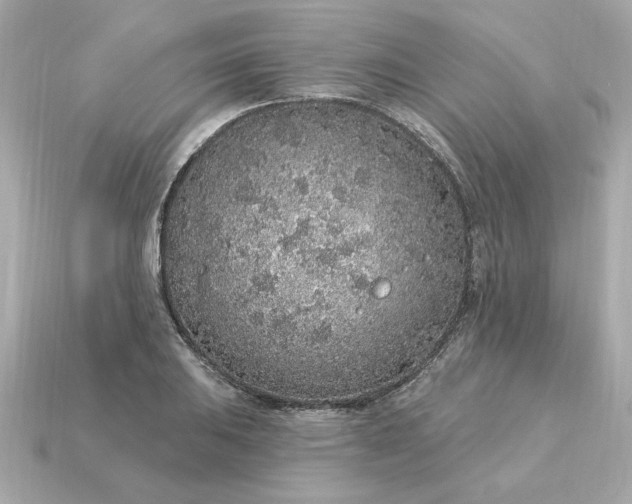 X0000115161031200911101745