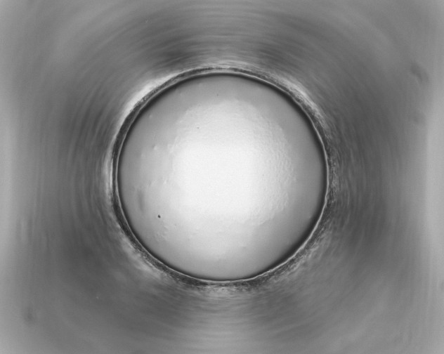 X0000115161032200911101745
