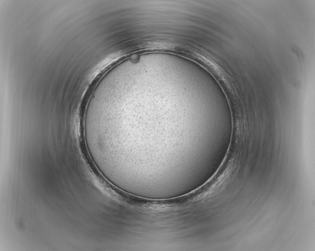 X0000115161034200911101745