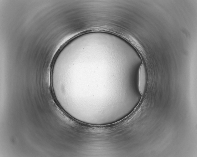 X0000115161036200911101745