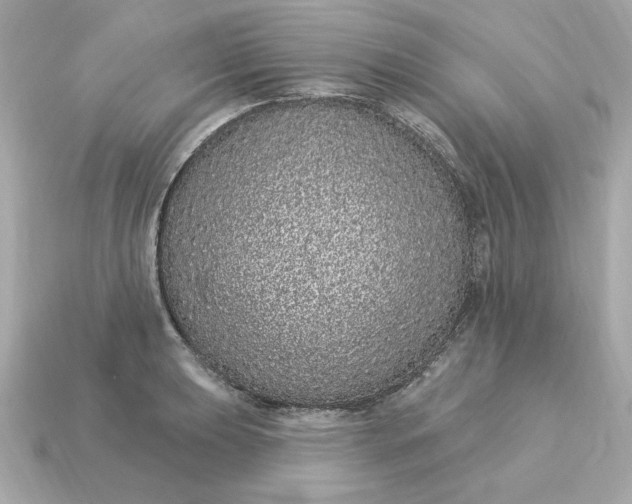 X0000115161039200911101746