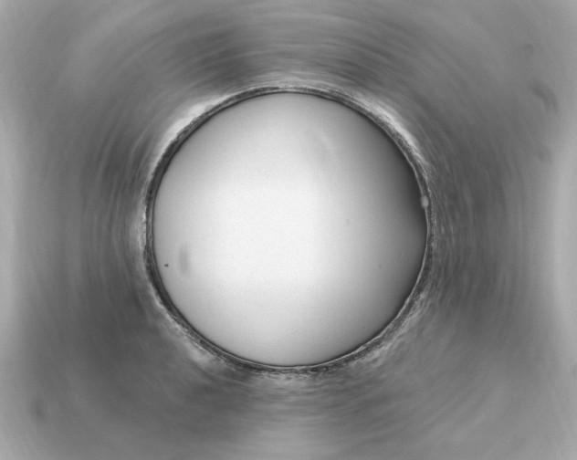 X0000115161040200911101746