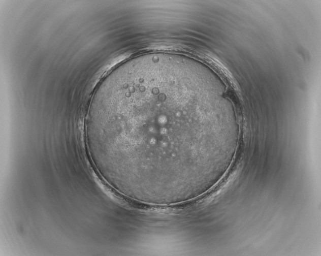 X0000115161041200911101746