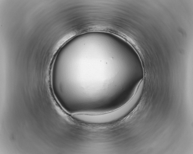 X0000115161042200911101746
