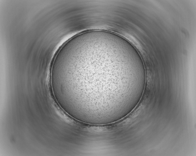 X0000115161044200911101746
