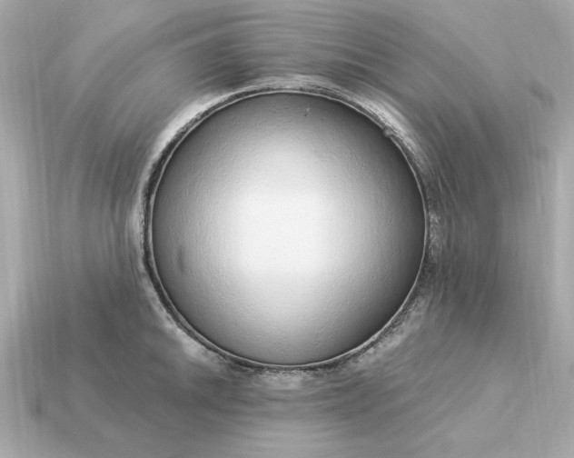 X0000115161046200911101746