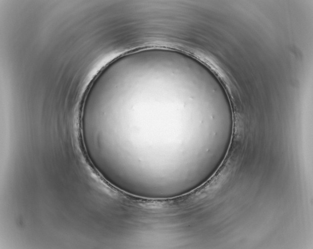 X0000115161048200911101746