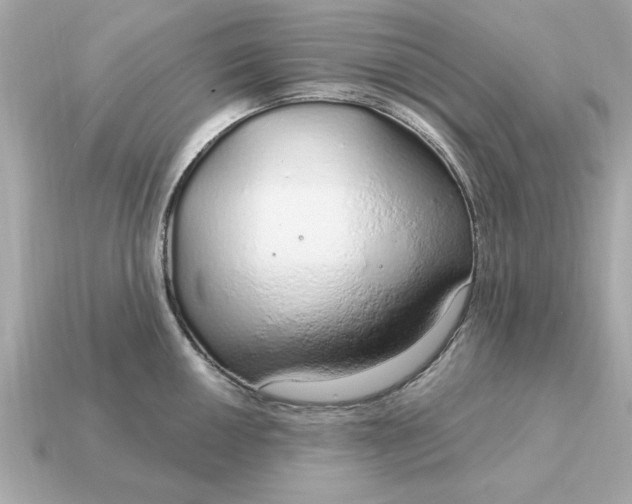 X0000115161050200911101746