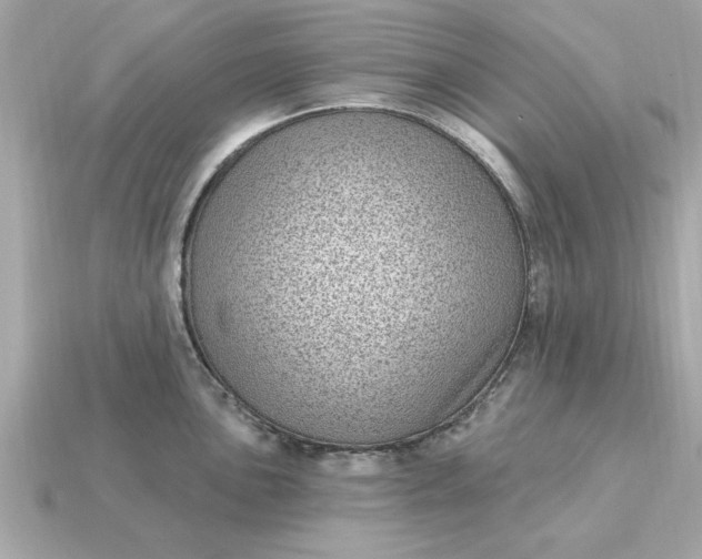 X0000115161051200911101746