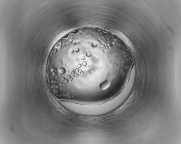 X0000115161052200911101746