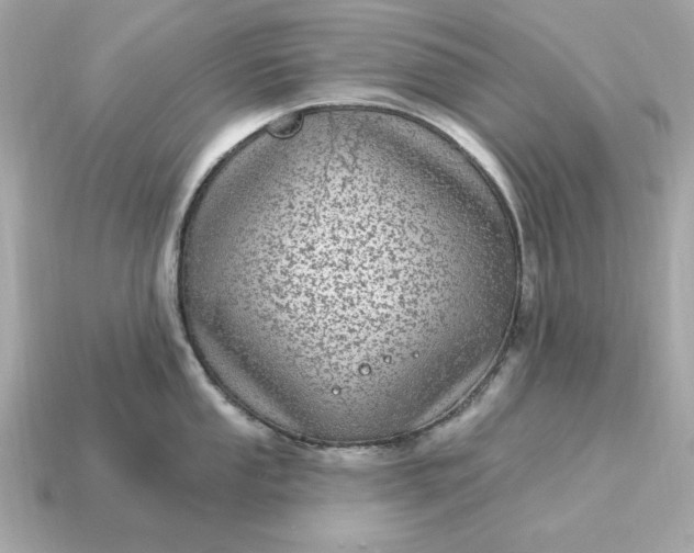 X0000115161053200911101746