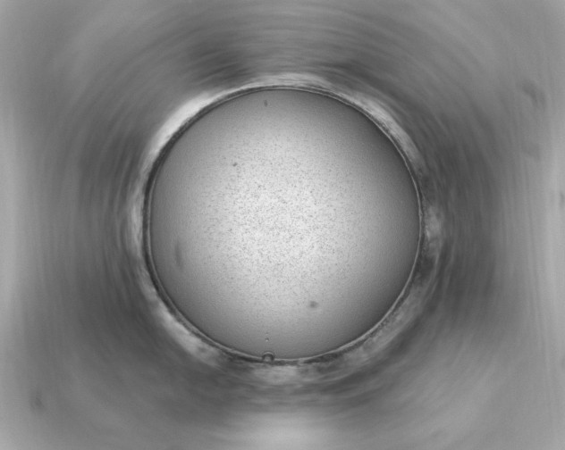 X0000115161054200911101746