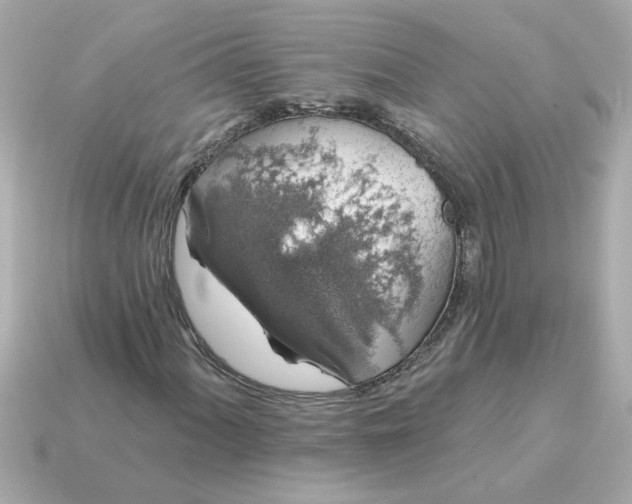 X0000115161060200911101745