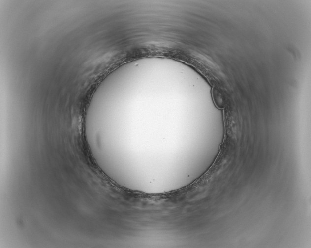 X0000115161061200911101745
