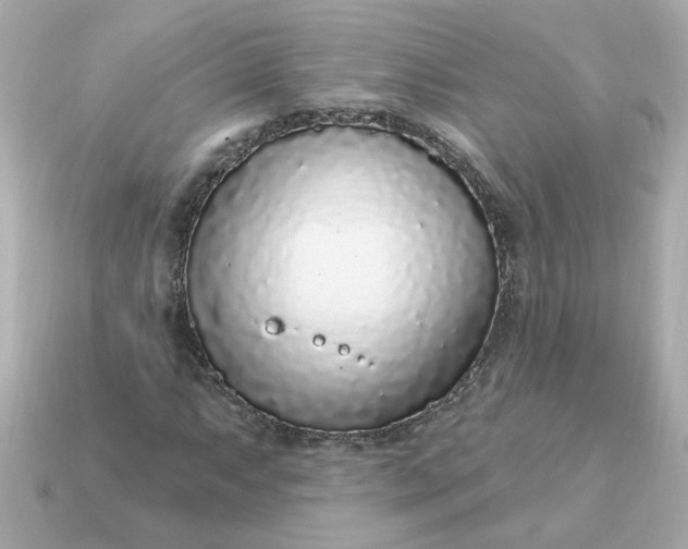 X0000115161063200911101745