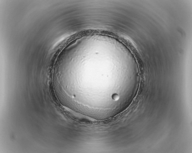 X0000115161064200911101745