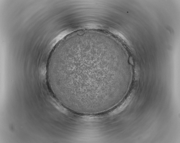 X0000115161065200911101745