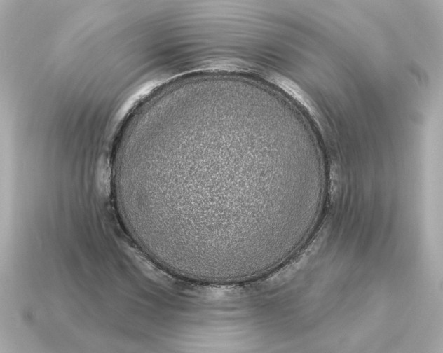 X0000115161067200911101745