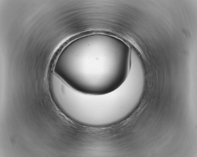 X0000115161068200911101745
