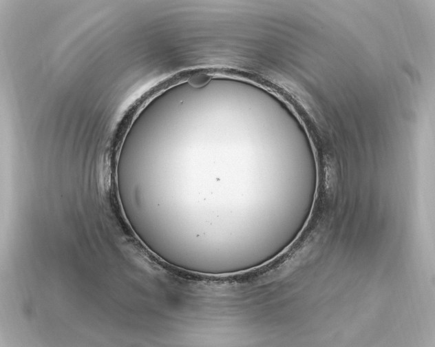 X0000115161069200911101745