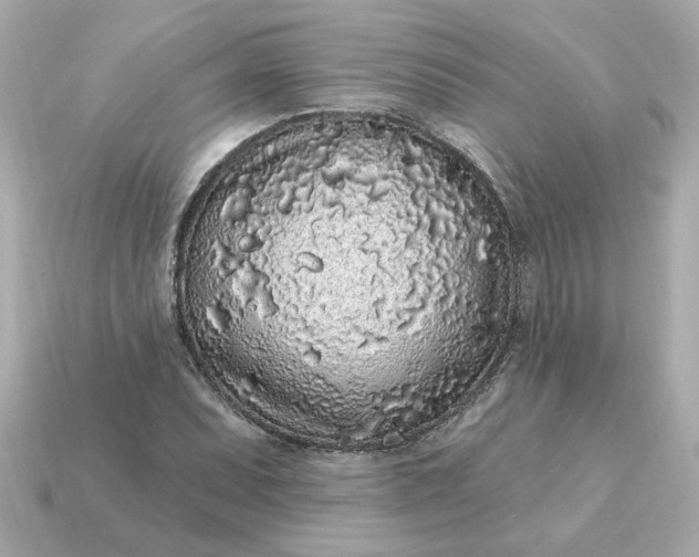 X0000115161071200911101745