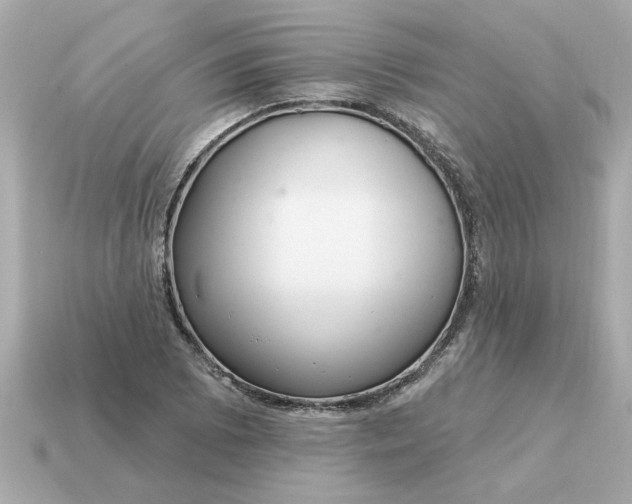 X0000115161073200911101745