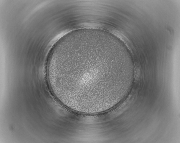 X0000115161074200911101745