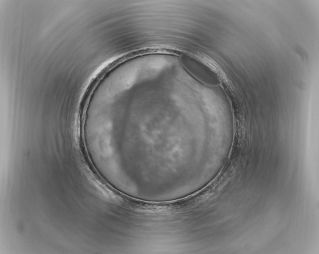 X0000115161076200911101745
