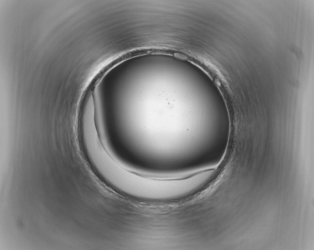X0000115161077200911101745